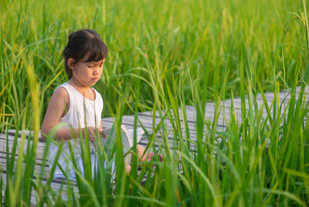 亚洲可爱的女孩放松地坐着，在日落的稻田里的木桥上读一本书，里面有大自然的背景。
