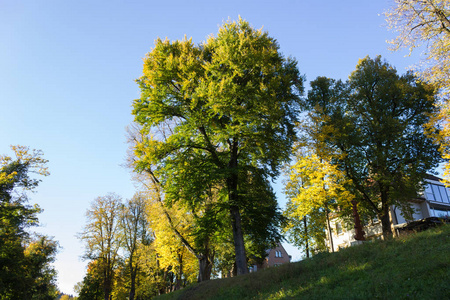 十月晴朗的一天，位于德国南部历史名城斯图加特附近的一个大片蓝天和温暖的阳光下秋天的黄色树木