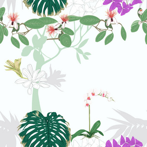 热带植物和白兰花。 无缝图案背景。 矢量图。 彩色矢量插图，没有梯度和透明度。 彩色和轮廓设计。