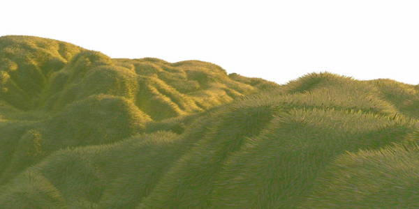 绿色的草丘陵由温暖的阳光照亮与白色背景空中鸟瞰顶部从无人机或飞机。Copyspace 为您的文本。3d 插图渲染