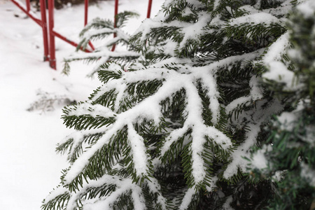 去年12月在德国南部的一个历史城市慕尼黑和斯图加特2市附近的圣诞节市场降雪