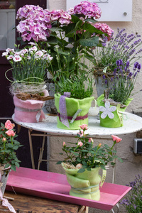德国南部春天花园装饰店里五颜六色的花