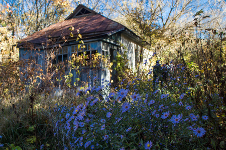 切尔诺贝利地区被遗弃的蓝花房子