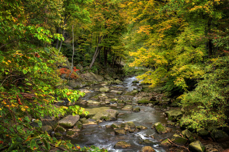 秋天色彩中美丽的树林河流景象。 在俄亥俄州贝雷亚瀑布拍摄。