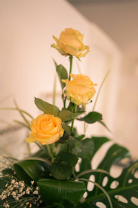 三朵黄色的玫瑰被灯光照亮