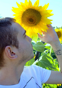 一幅年轻迷人的家伙的肖像，在他的头下看向日葵。 公园里的一个年轻人和花。