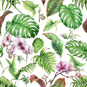 手绘热带植物的花朵和叶子。 无缝花卉图案由水彩，异国情调的绿色热带雨林树叶和粉红色兰花在白色背景。