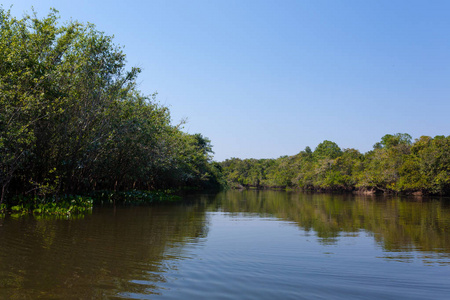 来自巴西潘塔纳尔湿地地区的全景。 可航行泻湖。 南美洲地标