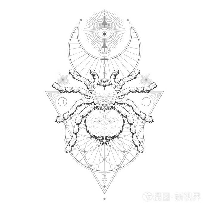 矢量插图与手绘蜘蛛狼蛛和神圣的几何符号在白色背景.