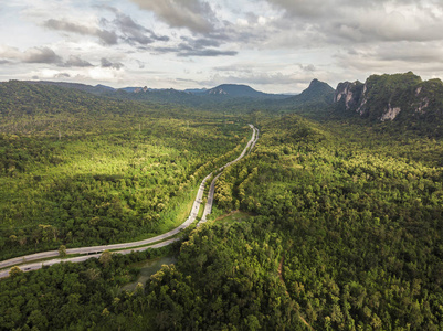 泰国绿色森林和乡村农村道路的俯视图。 上面的风景。 无人机的空中照片。