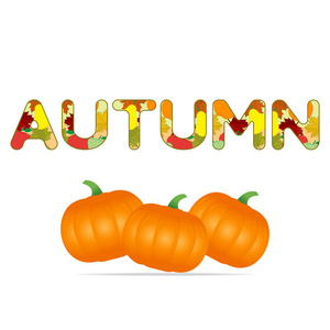 南瓜矢量插图与装饰秋季铭文。 秋季万圣节南瓜。 丰收节。 感恩节。 蔬菜图标或打印。