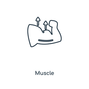 时尚设计风格的肌肉图标。肌肉图标隔离在白色背景上。肌肉矢量图标简单和现代平面符号的网站，移动，标志，应用程序，UI。肌肉图标矢量