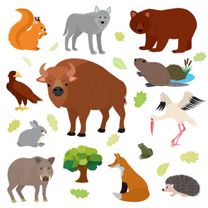 动物向量动物动物性在森林松鼠狼熊野生动物的野兔画集合欧洲捕食者野猪刺猬查出在白色背景