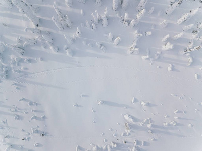 芬兰拉普兰冰雪覆盖的冬季森林的鸟瞰图。 无人机摄影。 顶部视图