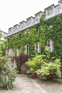 巴黎有吸引力的房子在巴黎的一个共同拥有的马莱