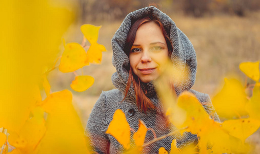 秋天树黄叶背景上的女孩。 秋季照片会议。 秋女在户外散步