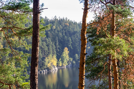 达姆里莫夫与秋天的彩色树木，捷克风景