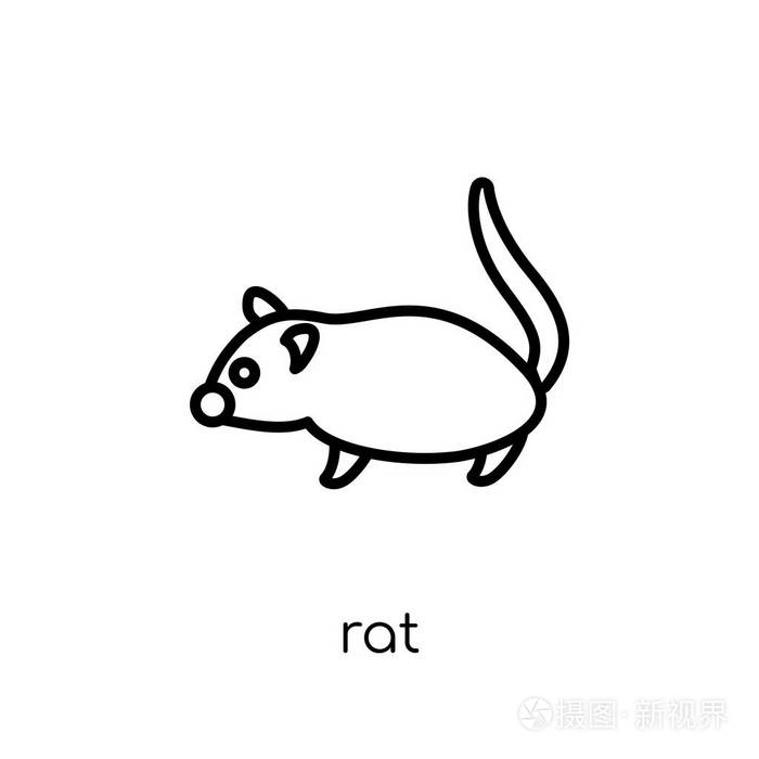 时尚现代平面线性矢量老鼠图标白色背景从细线动物收集可编辑轮廓笔画