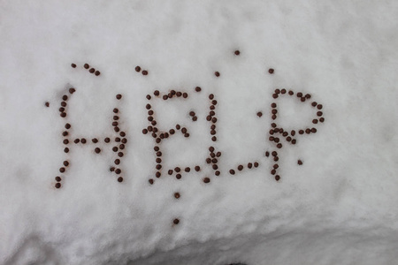 在户外下雪时的单词帮助图片