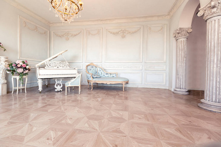豪华丰富的室内设计，优雅的老式家具