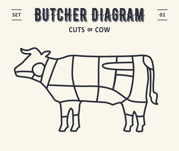 切肉套。 海报屠夫图和方案牛肉。 老式印刷。 餐馆或咖啡馆屠夫商店设计图。 矢量插图
