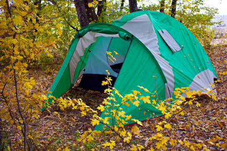 假日期间在森林里的帐篷。带着帐篷在森林里野生休息。在森林里露营。徒步旅行，在树林里徒步旅行，在帐篷里过夜。