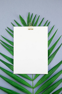创意平躺顶部视图模拟空白纸张明信片剪贴板绿色热带棕榈叶在蓝色灰色纸背景复制空间。 最小热带棕榈叶植物夏季概念模板
