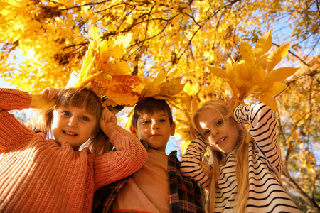 秋天公园里可爱的小孩子