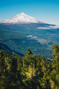 泰德山特内里夫。 岛中央的神奇山。 金丝雀群岛最佳旅游景点。