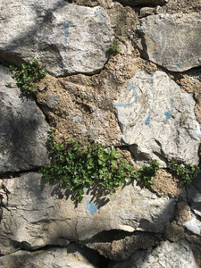 岩石表面纹理作为背景