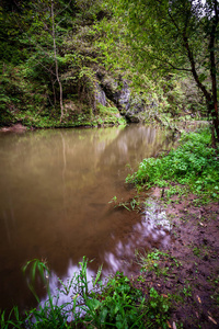 夏季长时间暴露于森林中高水位的岩石山河水中
