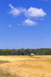 夏日风景联合收割机在阳光明媚的夏季景观联合收割机