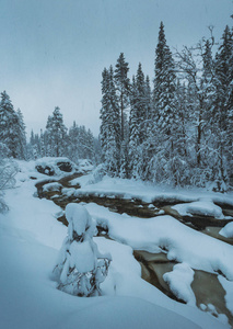 挪威北部非常下雪的冬天。 山里的森林河。 希亚格兰地区附近的盖特夫杰莱。
