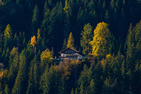 青山绿水中的远房风景