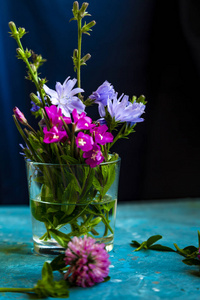 桌子上有蓝色背景的粉红色三叶草花