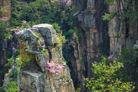 张家界山脉, 中国