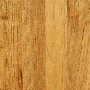 木制面板硬木的碎片。 橡树。