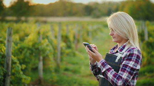 一位女农民在葡萄园的背景下使用智能手机。小企业主。侧视图