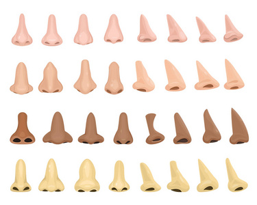 鼻子向量人男性面孔部分鼻子呼吸气味解剖学人呼吸鼻子器官罗马鼻子鼻子鼻子和阴鼻查出在白色背景