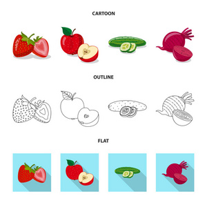 蔬菜水果标识的矢量设计。网站蔬菜和素食股票符号集