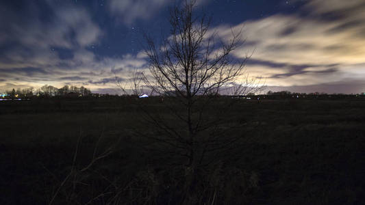 夜空背景下的一棵树的剪影，在长时间的曝光中有云