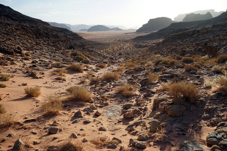 峡谷在瓦迪朗姆沙漠约旦
