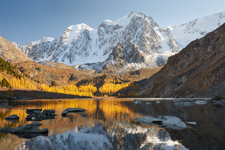 明亮多彩的黄秋山湖俄罗斯西伯利亚阿尔泰山丘崖岭。