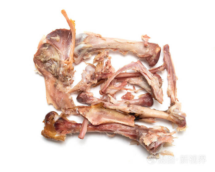 在白色背景下进食后的鸡骨