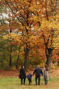 一家人在秋天的森林里走着, 落叶也在落叶。母亲的父亲和两个女儿在公园里