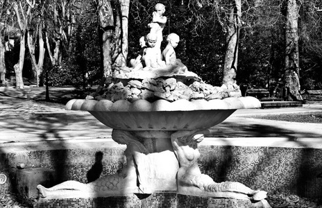 保加利亚首都瓦尔纳海上花园美丽的喷泉