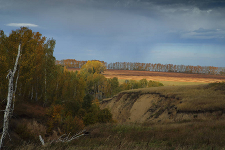 西伯利亚空旷的秋日晴天