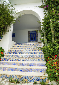 从西迪布来的安达风格的老式后院楼梯在突尼斯说