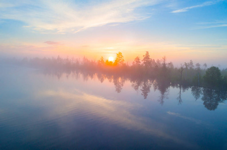 在白俄罗斯耶尔尼亚沼泽的雾蒙蒙的早晨