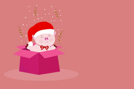 圣诞老人帽子里漂亮的粉红色小猪拿出一个礼物盒，里面有一个惊喜，玫瑰背景上有蛇纹石和雪，在12月的冬天庆祝新年和圣诞节